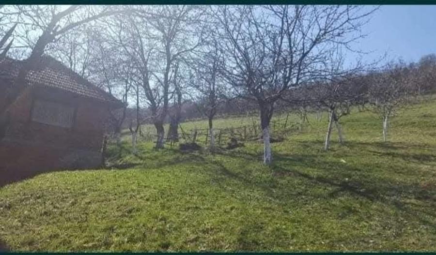 Casă cu 4 camere în Câmp