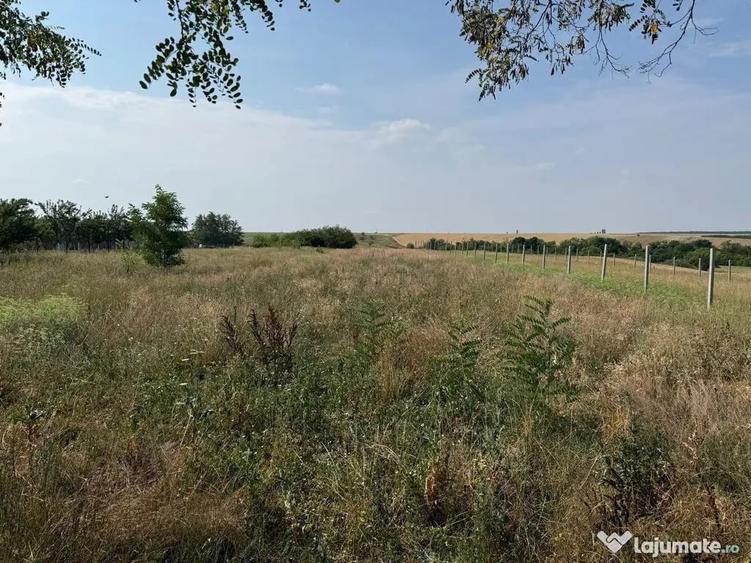 Teren intravilan Miersig, vedere la lac. 12,5 E/mp neg. C... - 11