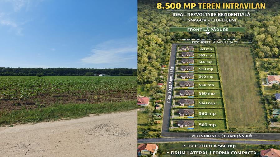 Teren Construcții intravilan de 8500 mp, în Ciofliceni