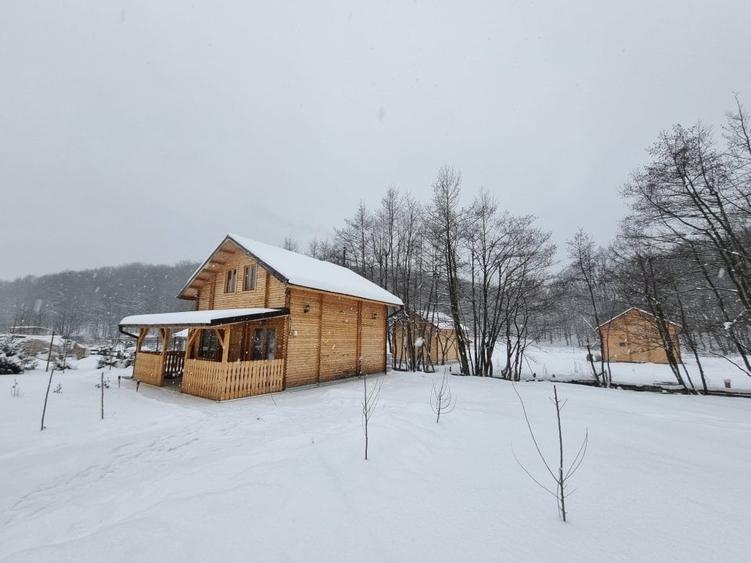 Proprietate specială, de 84 mp, în Dumbrăvița