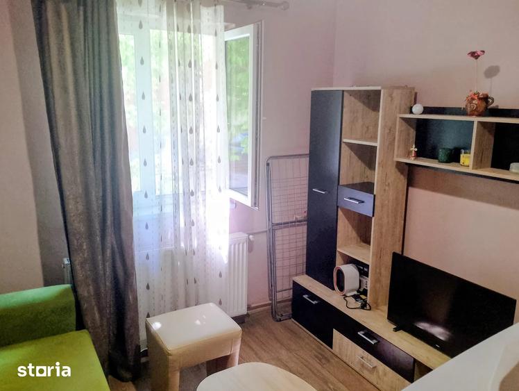 Garsonieră în Buziașului