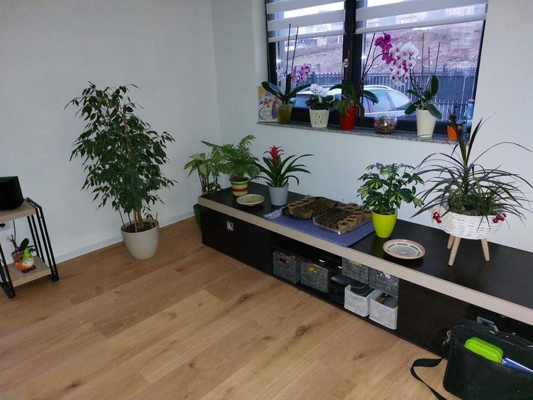 Casă cu 4 camere în Apahida