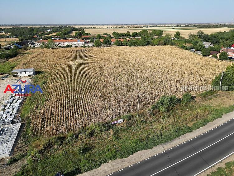 Teren Construcții intravilan de 7976 mp, în Crângurile