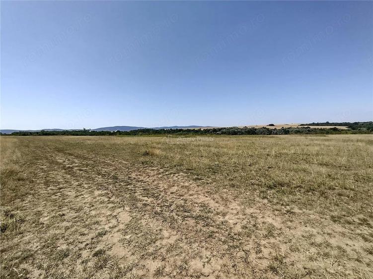 Teren de 14500 mp, în Nicolinț