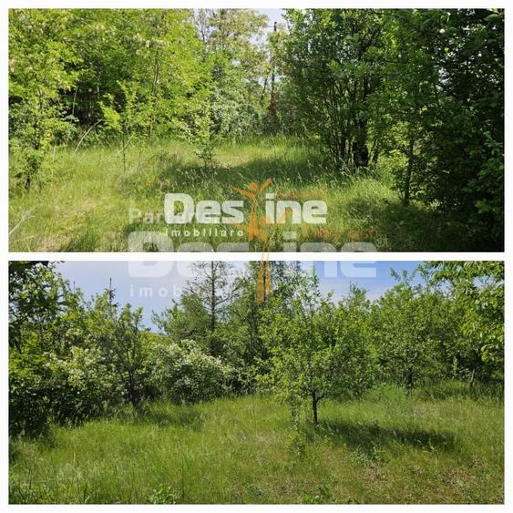 Teren Construcții intravilan de 3523 mp, în Tomești