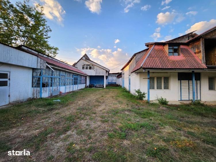 Teren de 8200 mp, în Alexandru cel Bun