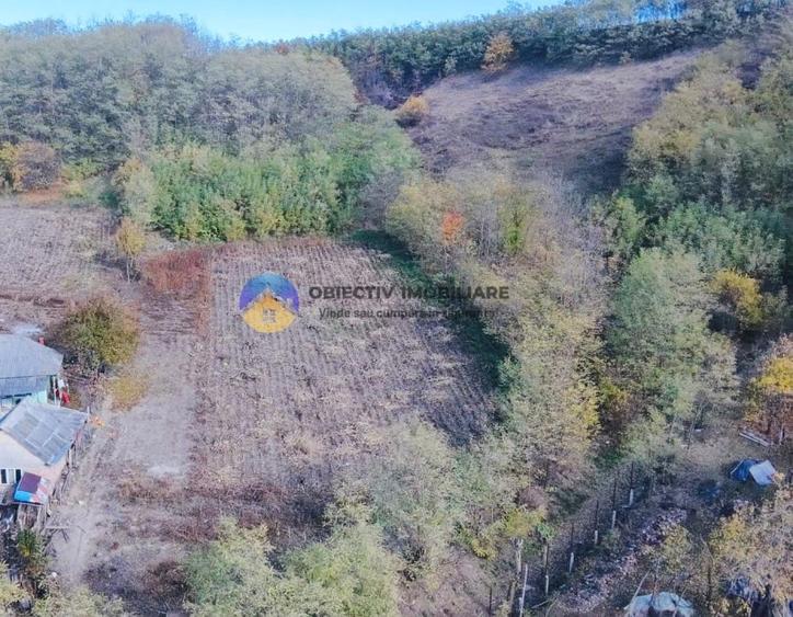 Teren Construcții intravilan de 11766 mp, în Costișa