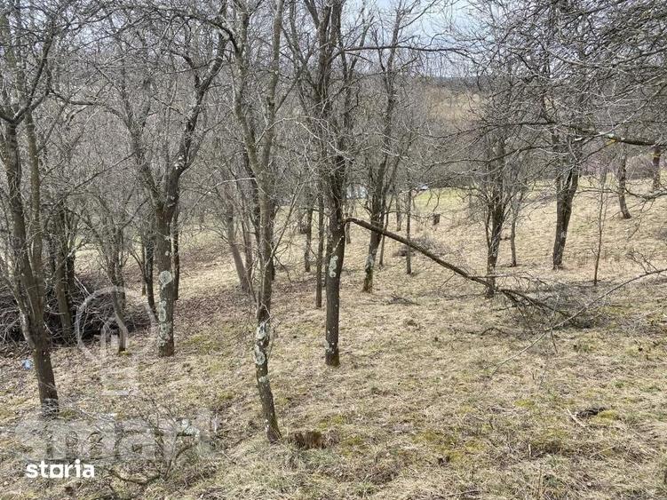 Teren de 5400 mp, în Sava