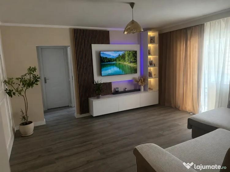 Apartament cu 2 camere semidecomandat în Brazda lui Novac