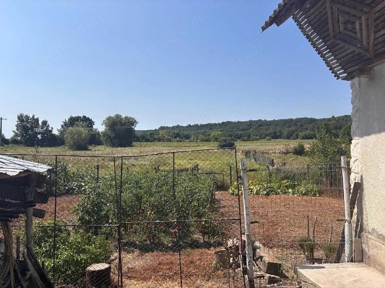 Casă cu 3 camere cu Teren 2325 Mp în Hulubești