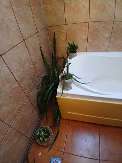 Apartament cu 2 camere semidecomandat în Snagov