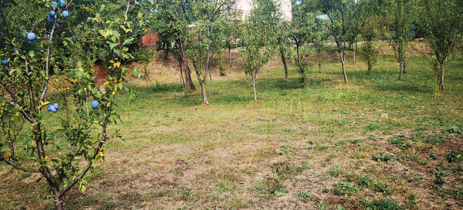 Teren Construcții intravilan de 1400 mp, în Est