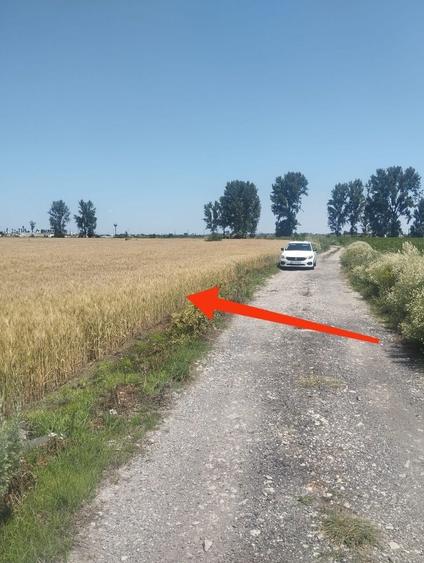 Teren de 6500 mp, în Golești