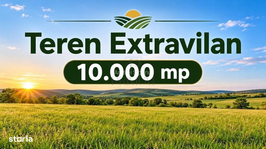 Teren Extravilan - Rudicica - 1ha