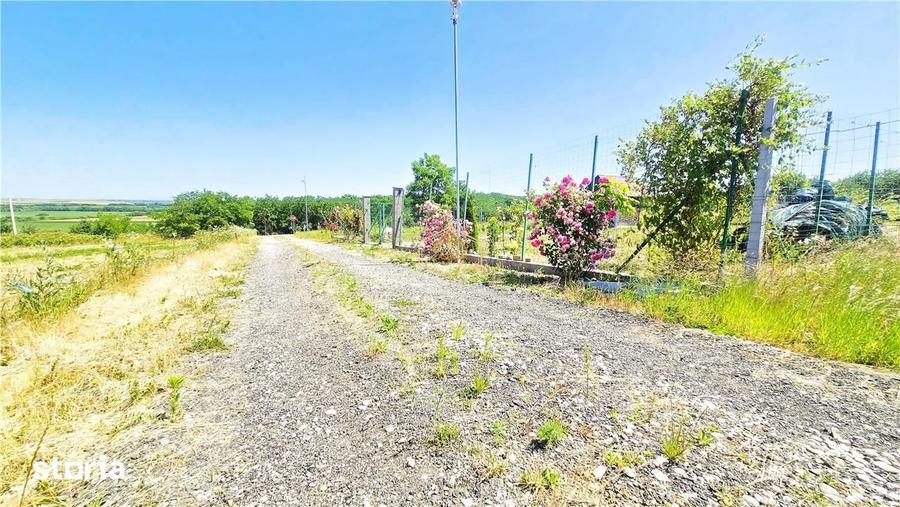 VIDEO | Loc de casa, cabana sau turism - Ardud | Vedere spre Satu Mare - 6