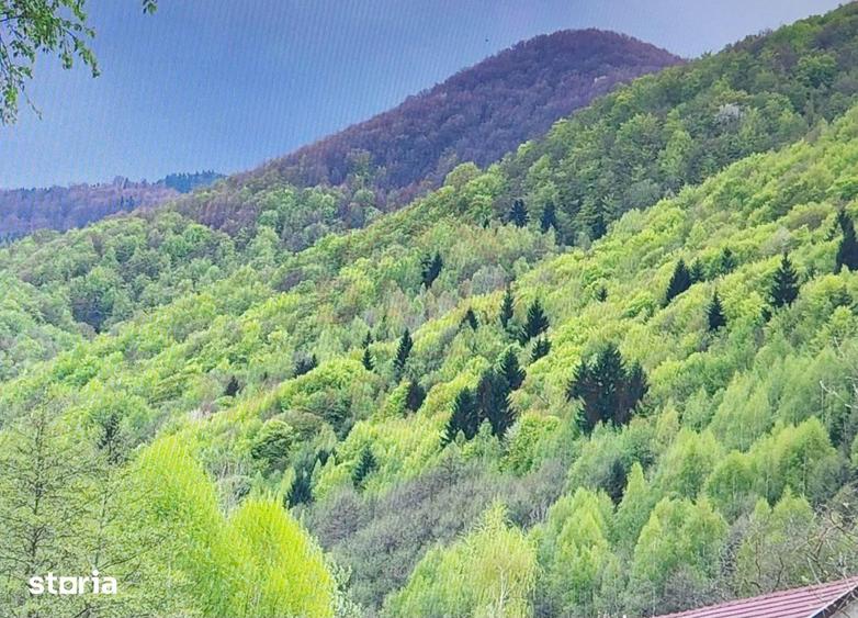 Casă cu 10 camere cu Teren 1000 Mp în Cerbăl