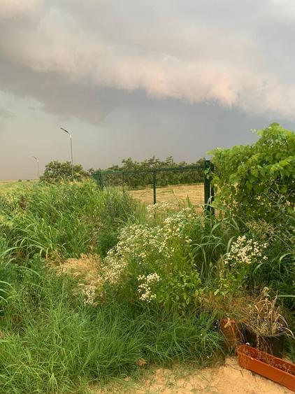 Creata Vanzare Teren 5900mp  cu iesire la balta, casa parter - 16