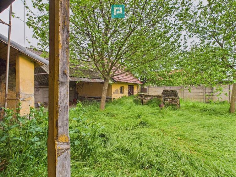 Casa de reabilitat pe teren generos- Comuna Varia? - 3