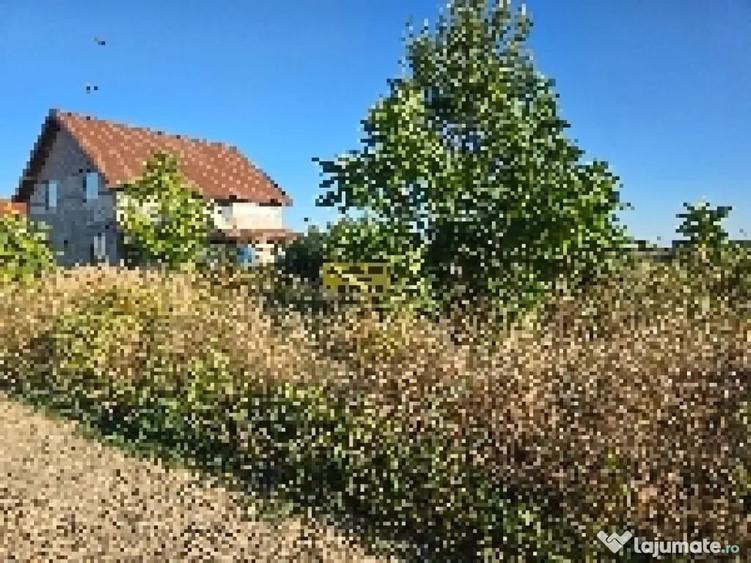Teren intravilan Balotesti - Balotesti (Bucuresti-Ilfov) - 2