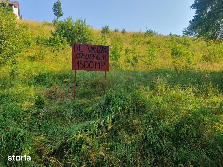 Teren de 1500 mp, în Bățani