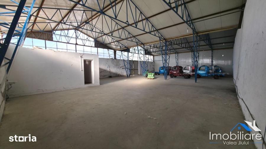 2 Hale de inchiriat, Livezeni, Langa Petro?ani - 3