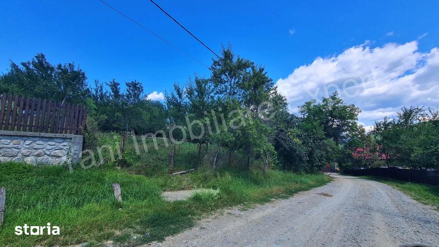 Teren de 3304 mp, în Bradu