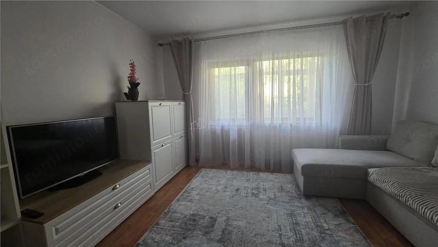 Apartament 2 deomandat, mobilat, utilat, CT, etaj 1 - Rovine - 13