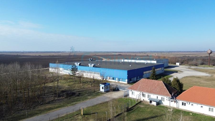 Spațiu industrial, de 6,227 mp, în Homorog