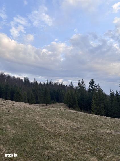 Teren de 1000 mp, în Mălini