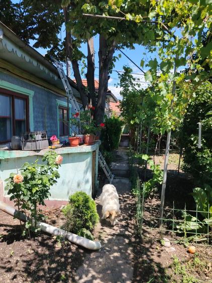 Casă cu 2 camere în Central