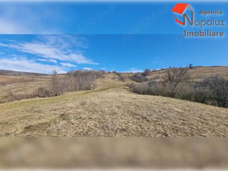 Teren de 31000 mp, în Șardu