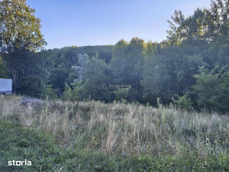 Teren intravilan de vanzare in padure Cisnadioara - 10