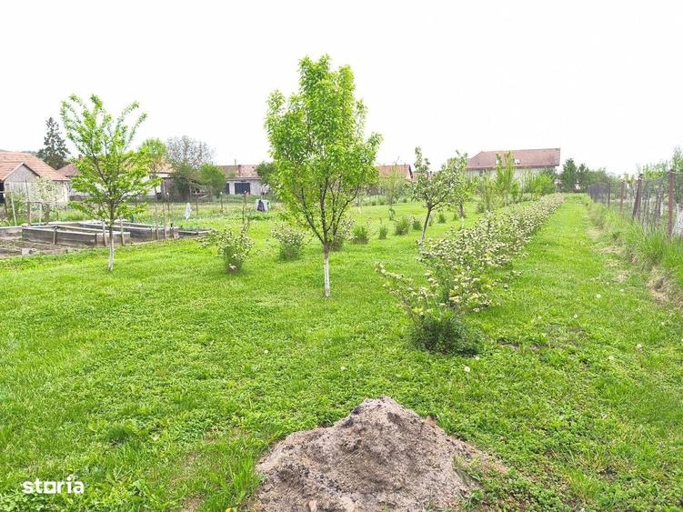 Casă cu 3 camere în Ernei