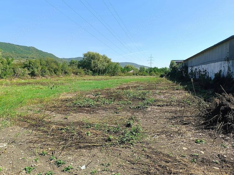 Teren de 2921 mp, în Șieu