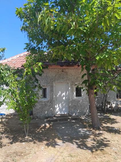 Casă cu 2 camere în Central