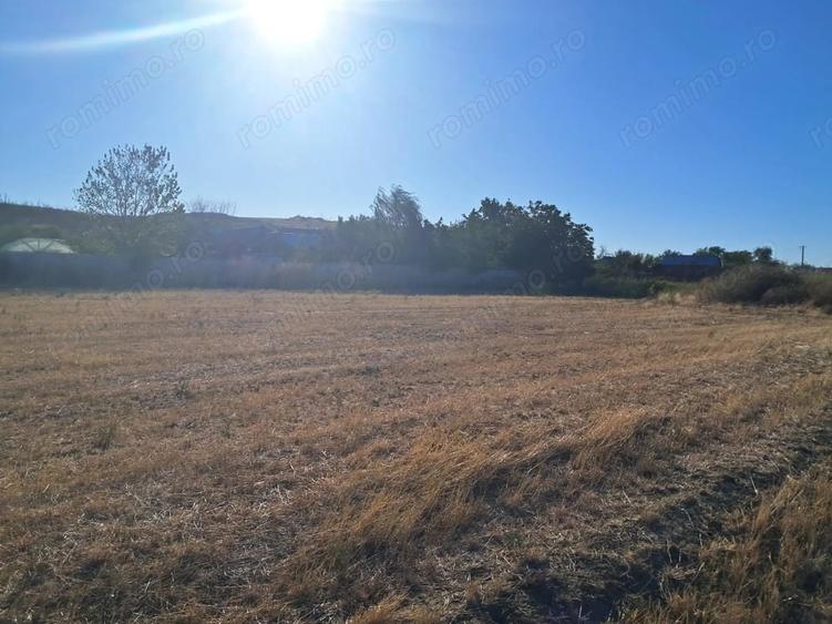 Teren de 4600 mp, în Stejaru