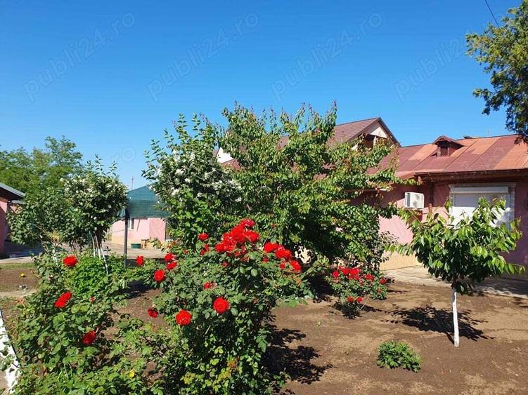 Casa de vanzare DN25 com.Independenta jud.Galati - 2