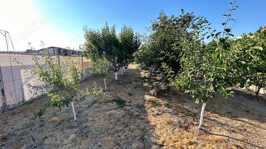Casă cu 4 camere cu Teren 1450 Mp în Jebel