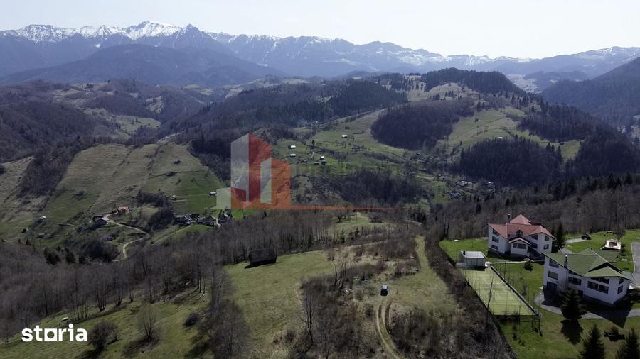 Teren de 29595 mp, în Moieciu