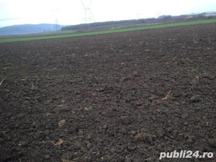Teren de 4300 mp, în Movila Miresii
