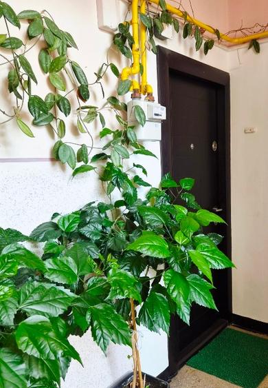 Apartament cu 3 camere semidecomandat, mobilat în Central
