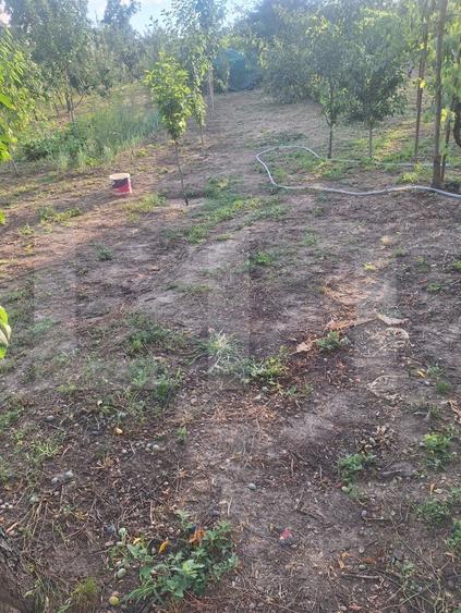 Casă individuală cu 4 camere cu Canalizare în Buziaș