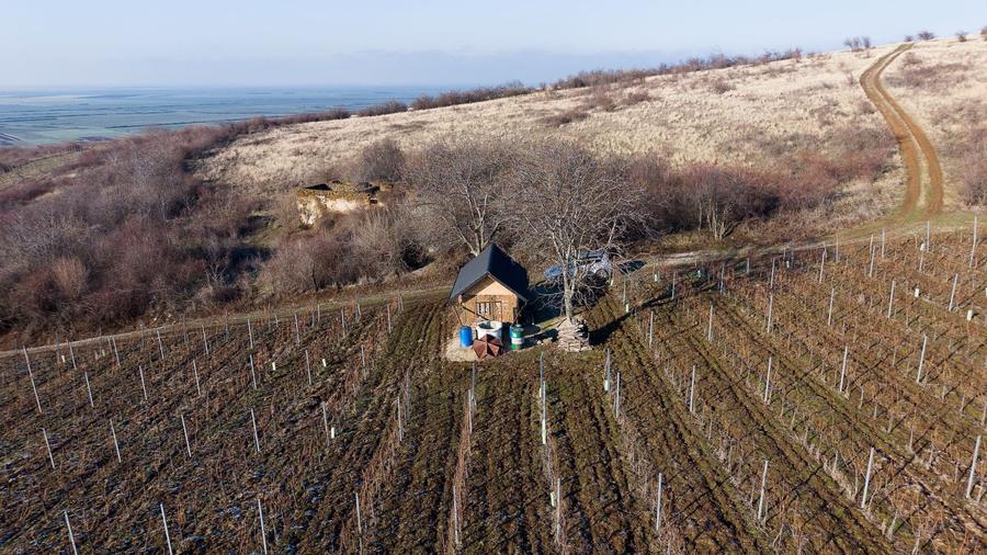 Teren agricol extravilan de 6800 mp, în Covăsinț