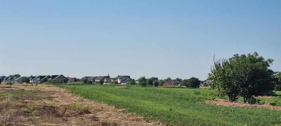 Teren Construcții intravilan de 2000 mp, în Ciorogârla