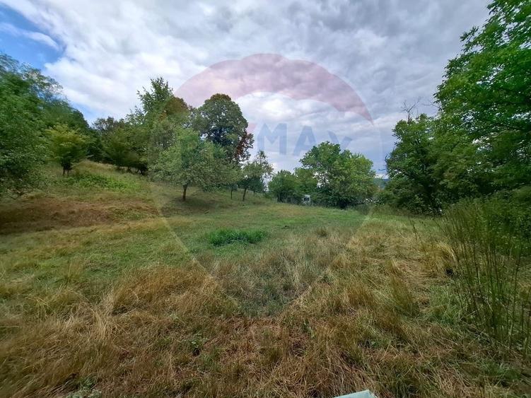 Teren Construcții intravilan de 2635 mp, în Bârzava