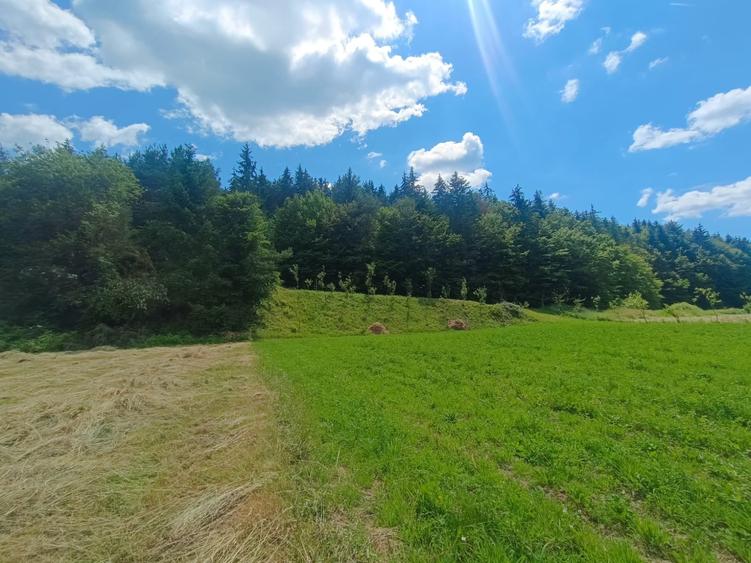 Teren extravilan de 3291 mp, în Vulcan