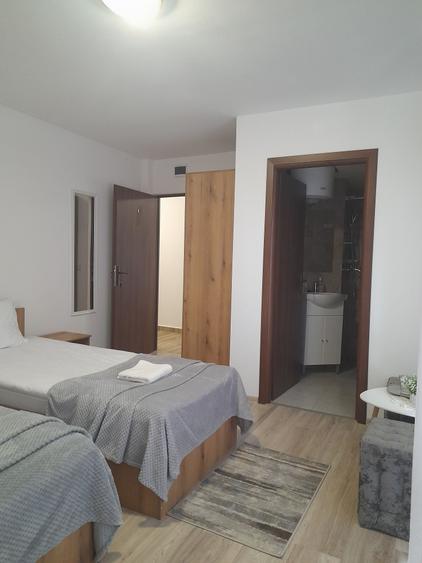 Casă cu 4 camere cu Teren 5000 Mp în Arpașu de Sus