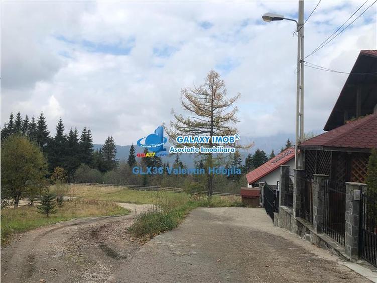 Teren Construcții intravilan de 850 mp, în Clăbucet