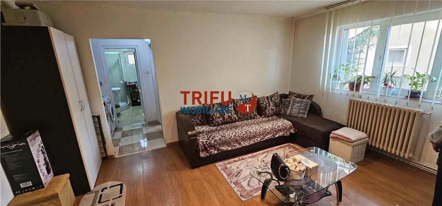 Apartament cu 2 camere nedecomandat, mobilat în Cetate