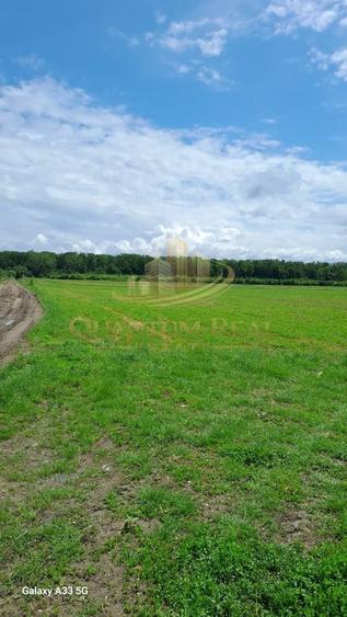 Teren agricol extravilan de 13500 mp, în Boteni